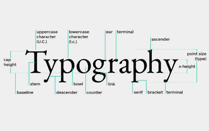 Typography giúp thu hút sự chú ý của người xem với những nội dung chính.